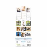 Kittens Kalender 2026 Slimline - thumbnail