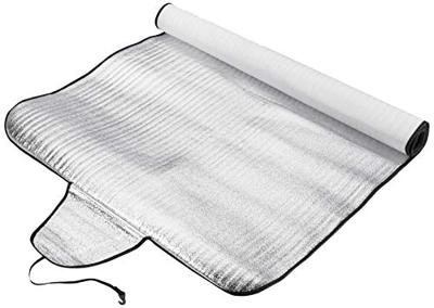 Voorruitfolie antivries HP Autozubehör 18242 Zilver (b x h) 255 cm x 100 cm Voorruitfolie antivries HP Autozubehör 18242 Zilver (b x h) 255 cm x 100 cm