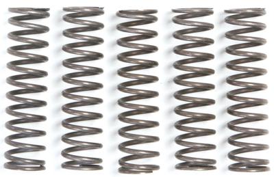TRW koppelingsveer set clutch spring kit mef105-5 TRW koppelingsveer set clutch spring kit mef105-5