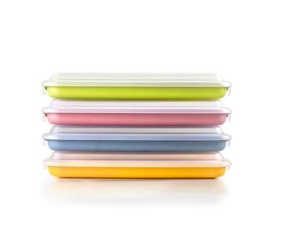 Lunchbox Ibili 689210