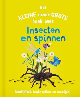 Rebo Publishers Het kleine maar grote boek over? insecten spinnen