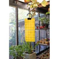 Insecten kleefvellen - thumbnail