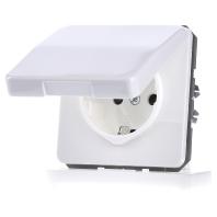 Jung CD1520BFKIKLWW Wandcontactdoos met randaarde en klapdeksel Inzetstuk 1-voudig Alpine-wit 1 stuk(s)