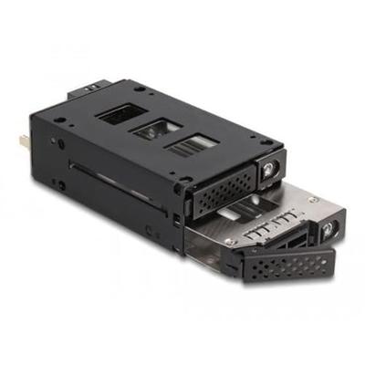 DeLOCK Slim Bay Mobile Rack for 2 x 2.5" U.2 NVMe SSD with 5.25" frame wisselframe