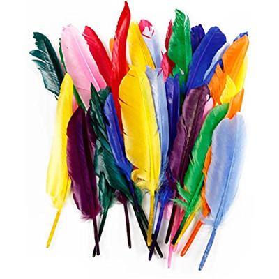 https://www.cchobby.nl/veren-l-17-20-cm-250-stuk-1-doos