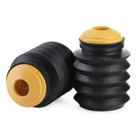 Eikenboom zuilvorm - thumbnail