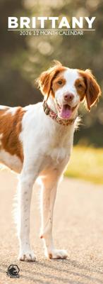 Brittany Spaniel Slimline Kalender 2026 Brittany Spaniel Slimline Kalender 2026