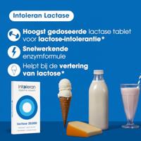 Lactase 20.000 - Testpack 6 Breektabletten | Lactose Intolerantie | Hoogst gedoseerd | Bevat Lactase dat helpt bij verteren van Lactose | Intoleran - thumbnail