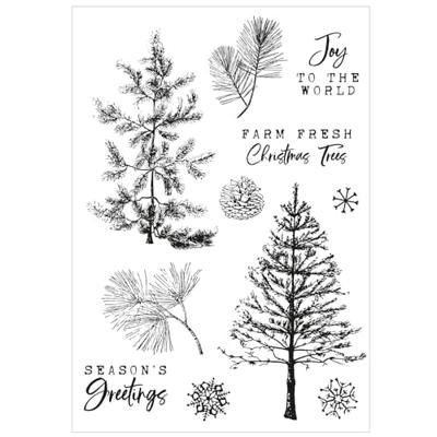 Sizzix • clear stamp set a5 with framelits die pine holidays 21pcs