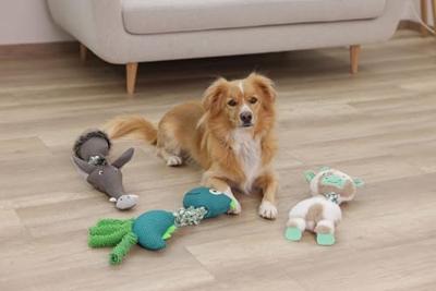 Kerbl Pet Hondenspeelgoed Dino, 14,5 x 47 cm,