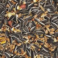 VERSELE-LAGA Sunflower Energy Mix - vogelvoer - 11,5 kg - thumbnail