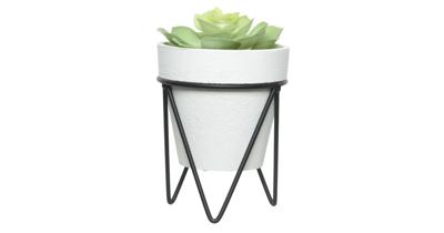 Vetplantje/kamerplant kunstplanten in pot op standaard 16 cm - Kunstplanten Vetplantje/kamerplant kunstplanten in pot op standaard 16 cm - Kunstplanten