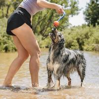 CHUCKIT ULTRA DUO TUG - thumbnail