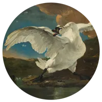 De Bedreigde Zwaan- Johan de Wit - Muurcirkel sticker - thumbnail