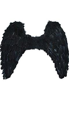 Vleugels Zwart Darkness (70x65cm)