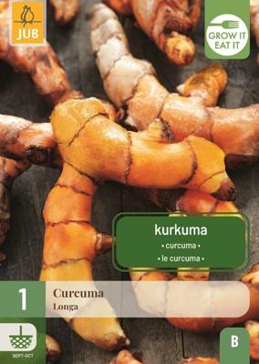 Curcuma Longa geel 1 bloembol JUB - Jub