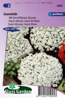 Lobularia Maritima zaden Snowcloth Schildzaad - thumbnail