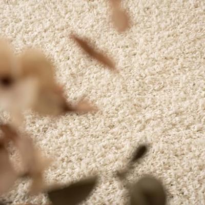 Tapeso Hoogpolig vloerkleed shaggy Trend effen - ivoor - 240x340 cm