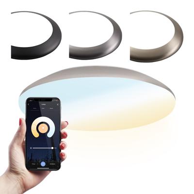 Smart plafondlamp - Bulkhead - 18 Watt - 1800 lumen - Ø30cm - IP65 waterdicht - CCT White ambience - Wifi + Bluetooth - Google Home, Amazon Alexa en Siri - RVS