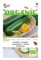 Biologische Courgette Black Beauty - thumbnail
