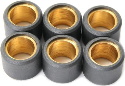 Vicma Variateur gewicht roller core set 19x13,5, 10 gr,6pcs, 4177