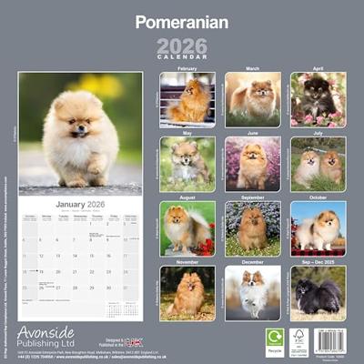 Pomeranian Kalender 2026