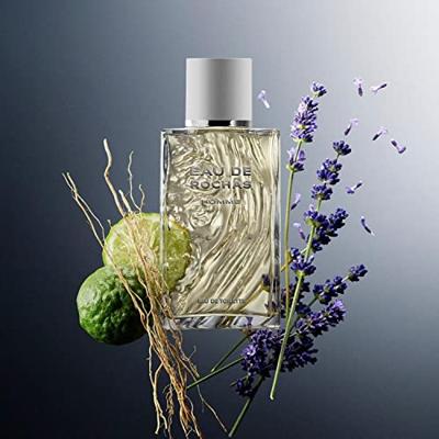 Rochas Eau De Rochas Pour Homme Eau De Toilette Spray 100 ml Heren Rochas Eau De Rochas Pour Homme Eau De Toilette Spray 100 ml Heren