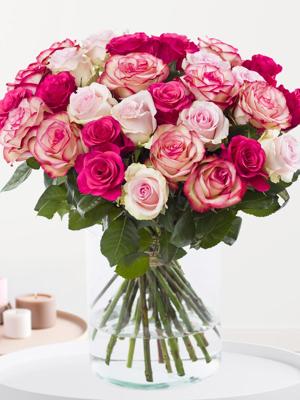 Rozenmix roze rozen