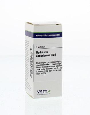 VSM Hydrastis canadensis LM6 (4 gr)