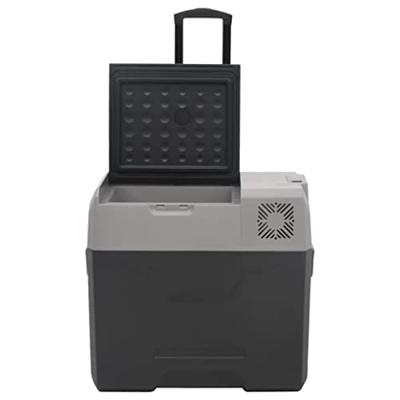 VidaXL Koelbox met wielen en handvat 50 l polypropeen zwart en grijs