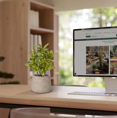 Acuba Japonica 35cm kunstplant bont