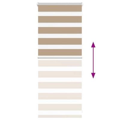 VidaXL Zebra blind 55x100 cm stofbreedte 50,9 cm polyester zandbruin