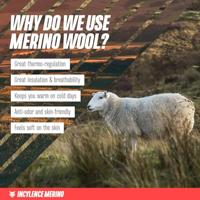 Incylence merino strive - socks - thumbnail