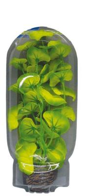 Easy plants middel 20cm nr.10 zijde