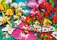 Orchid Jungle Puzzel 1000 Stukjes - thumbnail
