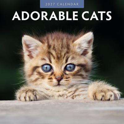 Adorable Cats Kalender 2027 Adorable Cats Kalender 2027