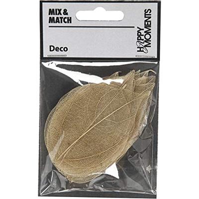 Creativ Company Skeleton leaves , l: 4,5-8 cm, naturel, 20 stuk/ 1 doos Creativ Company Skeleton leaves , l: 4,5-8 cm, naturel, 20 stuk/ 1 doos