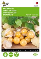 Zaden Ananaskers Physalis pruinosa Buzzy - Buzzy - thumbnail