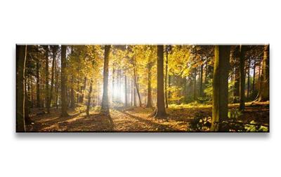 Schilderij - Bos, Bruin/Geel, 120X40cm, 1luik