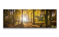 Schilderij - Bos, Bruin/Geel, 120X40cm, 1luik - thumbnail
