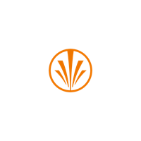 Hoezen LDPE transp - aan de rol 30 my | rol à 50 stuks - thumbnail