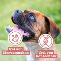 Chewies Hondensnacks, training, maxi lam, enkeltje, 200 g, hondensnacks, suikervrij en met een hoog vleesgehalte, ideaal als trainingstraktatie voor je hond - thumbnail