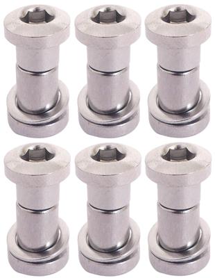 Bofix Zadelpenbout inbus 19 mm - chroom (6 stuks)