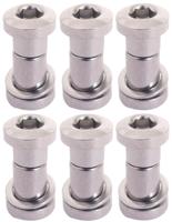 Bofix Zadelpenbout inbus 19 mm - chroom (6 stuks) - thumbnail