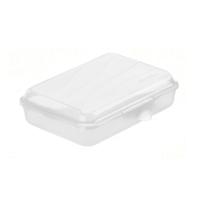 Rotho fun lunchbox 0.45l transparant - thumbnail