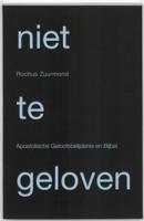 Niet te geloven - Rochus Zuurmond - Paperback (9789490708023) - thumbnail