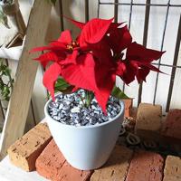 Marbles zilver fles 1 kilogram Mica - Mica decorations - thumbnail