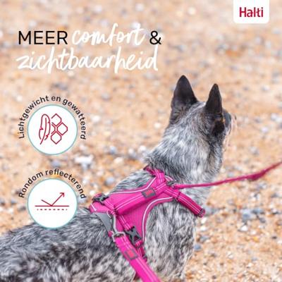 Hondentuigje Company of Animals Bordeaux XS 20-32 cm