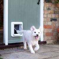 SureFlap Mikrochip Pet door Huisdierluik Bruin 1 stuk(s) - thumbnail