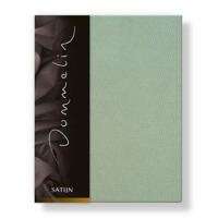 Dommelin Dommelin Hoeslaken Uni Satijn 300TC 551 Spargroen 200x210/30 - thumbnail